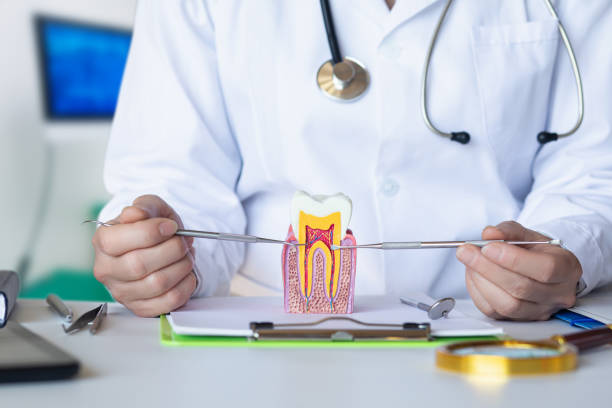 Best Broken or Chipped Tooth Repair in Alafaya, FL